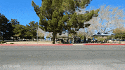 pickup trucks truck GIF by Off The Jacks