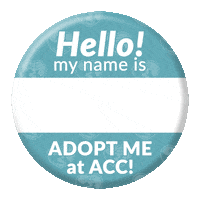 Adoption Adopt Sticker by nycacc