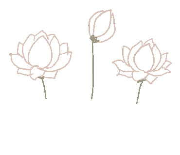 花 Sticker