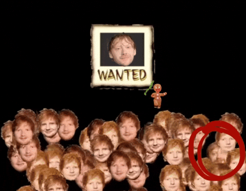 GIF by CabrinhaKites