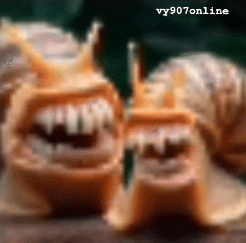 Teeth Wtf GIF