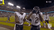 National Football League GIF by NFL