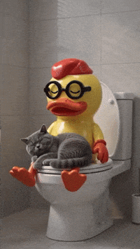 Cat On Toilet GIF by Sueno Tattoo