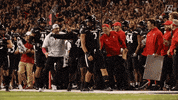 College Football GIF by Cincinnati Bearcats