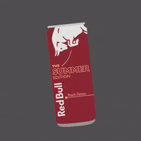 Sunglasses India GIF by Red Bull
