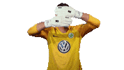 World Cup Football Sticker by VfL Wolfsburg