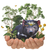 Tasmanian Devil Australia Sticker by Re:wild