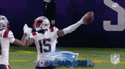 New England Patriots Football GIF by NFL