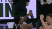 celebrate pumped up GIF by NBA