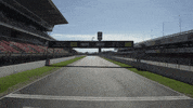 ver formula 1 GIF by Red Bull Racing