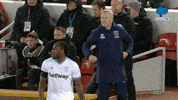 Celebration Reaction GIF by MolaTV