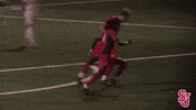 St Johns Fist Pump GIF by St. John's Red Storm