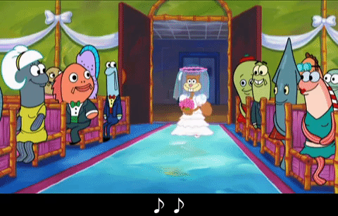 season 6 episode 23 GIF by SpongeBob SquarePants