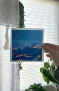 Art Artist GIF