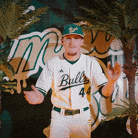 South Florida Baseball GIF by USF Athletics
