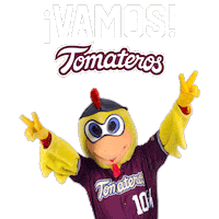 baseball vamos Sticker by Club Tomateros
