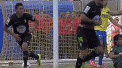 Regreso Volveremos GIF