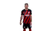 Happy Lucas Alario Sticker by Eintracht Frankfurt