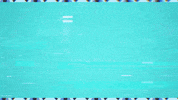 gem live co GIF