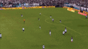 bou GIF
