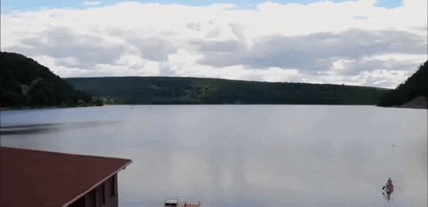 wisconsin GIF