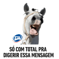 Cavalinho Sticker by Socil