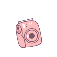 Photo Camera Sticker by Politopia Ilustraciones