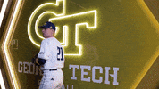 Georgia Tech Baseball GIF by Georgia Tech Yellow Jackets