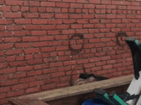 Born Losers GIF by Stray Fossa