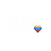 Venezuela Caracas Sticker by El rincón de la abuela Venezolana