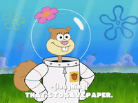 season 8 episode 13 GIF by SpongeBob SquarePants