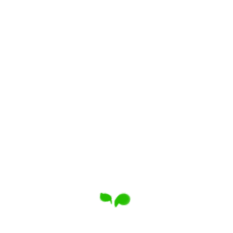 Flower Spring Sticker