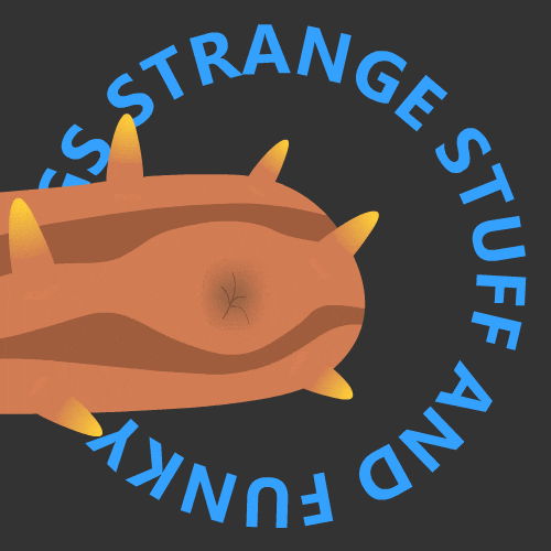 Sea Cucumber GIFs Find & Share on GIPHY