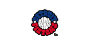 Chicago Bulls Sticker by NEW ERA EUROPE