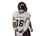 American Football Sticker by Frankfurt Galaxy