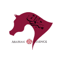 arabianessencetv congratulations arabianhorsehead Sticker