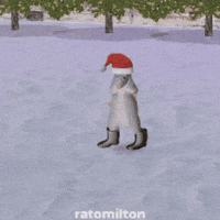 Dance Christmas GIF