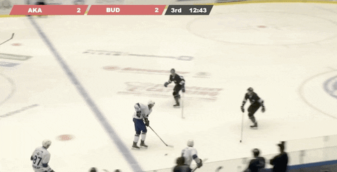 univerzitnihokej giphyupload gol hokej plzen GIF