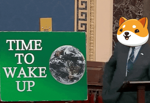 Fun Money GIF by Baby Doge Coin