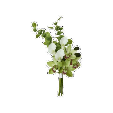 Wedding Flowers Sticker by Something Borrowed Blooms