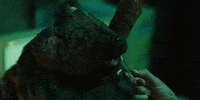 KaihoRepublic kaiho kaihorepublic ahma poromafia GIF