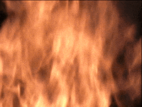 Summer Camp GIF by Charles Pieper