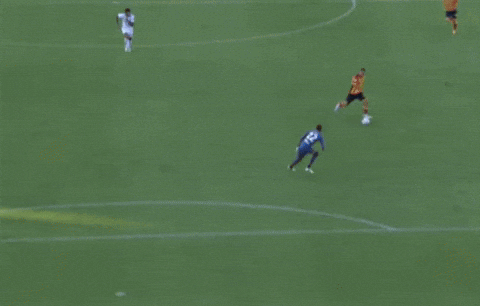 petrfrmel giphyupload GIF