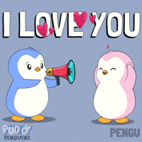 I Love Ya GIF by Pudgy Penguins