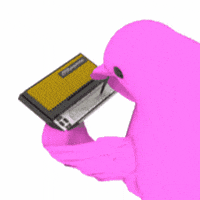 Brrd GIF