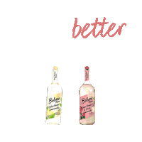 Cheers Cocktails Sticker by Belvoir Lemonades & Cordials