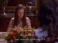 season 1 netflix GIF by Gilmore Girls 