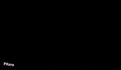 Night Camping GIF