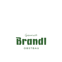 Baden Artline Sticker by Brandl Obstbau