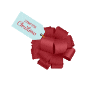 camp kstn Sticker by Keystone Students